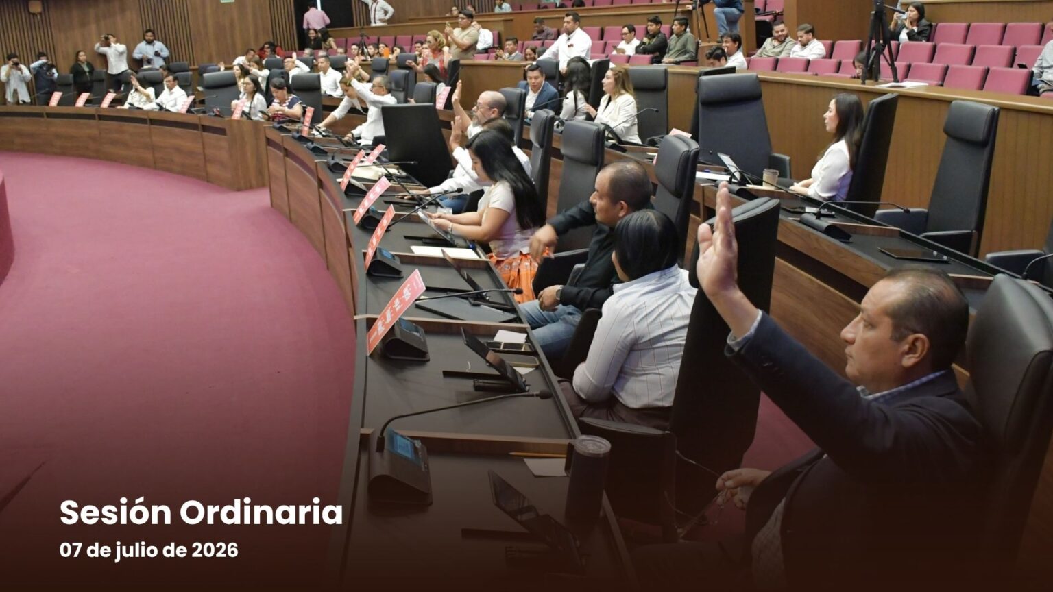 Aprueba Congreso del Estado reforma para implementar programas de reforestación escolar en los ayuntamientos de la entidad